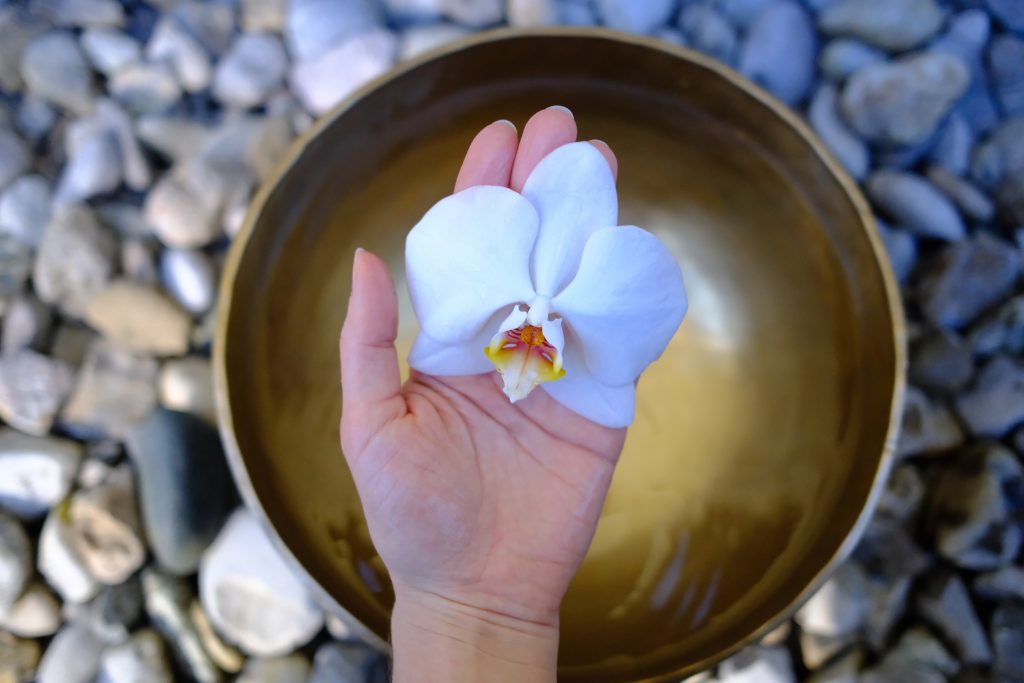 Hand hält Orchideeblüte über Klangschale