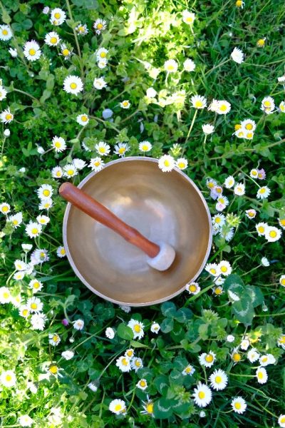 Klangschale in Gänseblümchenwiese